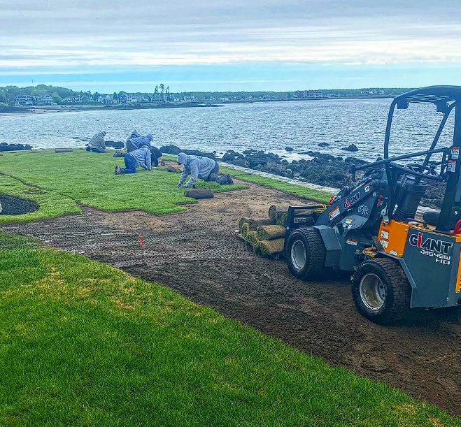 Tree and shrub planting service