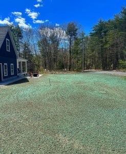 Hydroseeding project