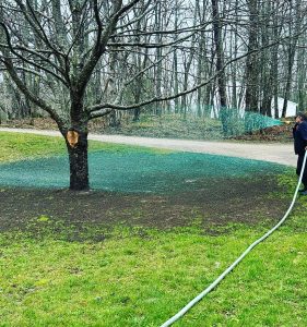 Hydroseeding project