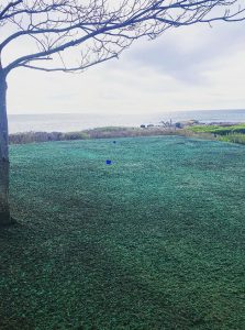 Hydroseeding project