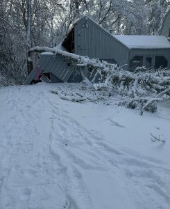 Ice management project